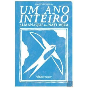 Um ano inteiro