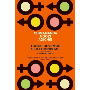 Todos devemos ser feministas